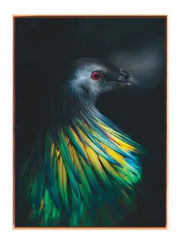 A27