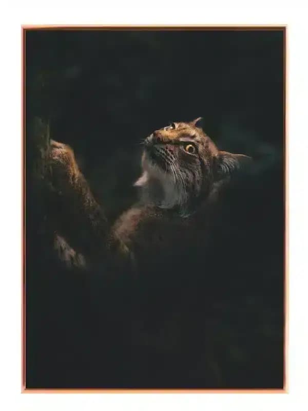 A28