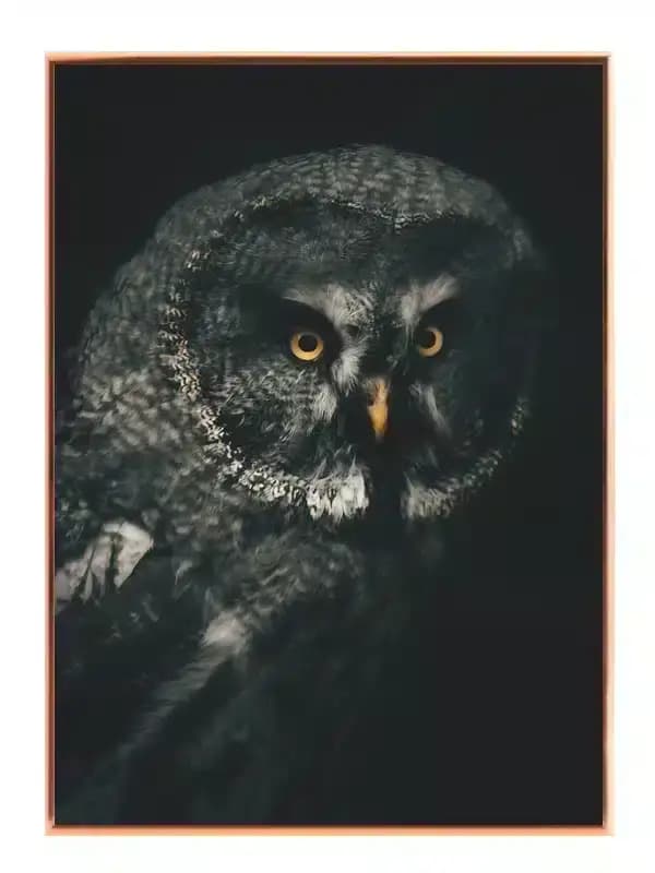 A3