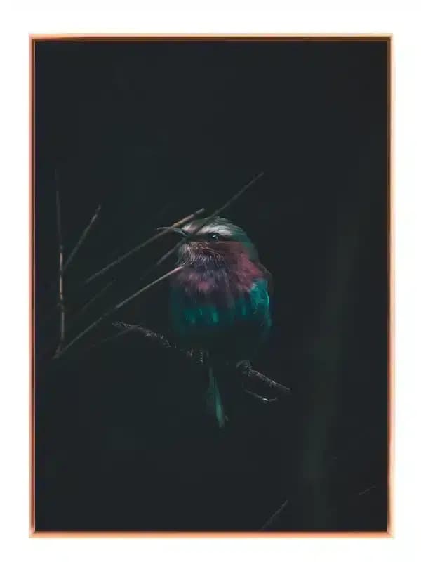 A40
