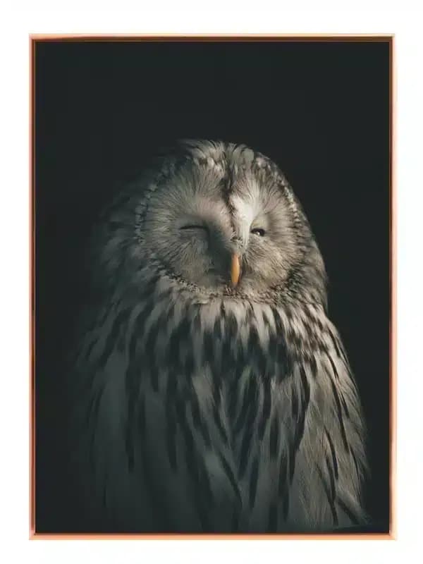 A5