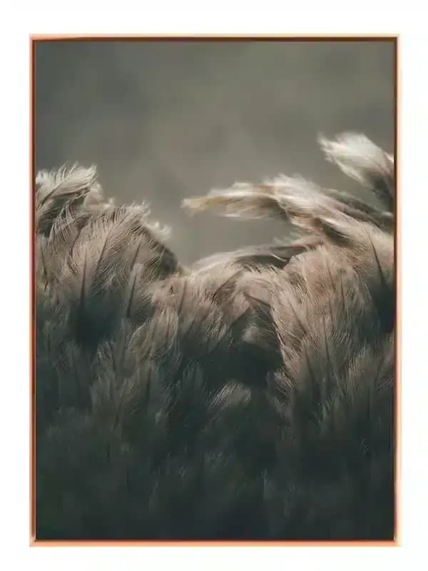 A9
