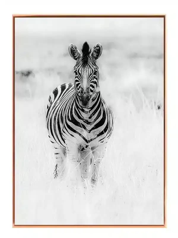 BW1