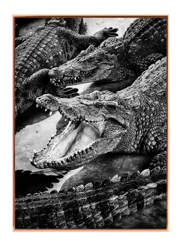 BW30