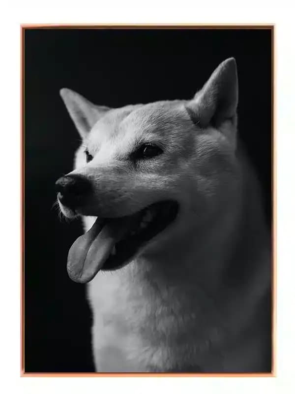 BW5