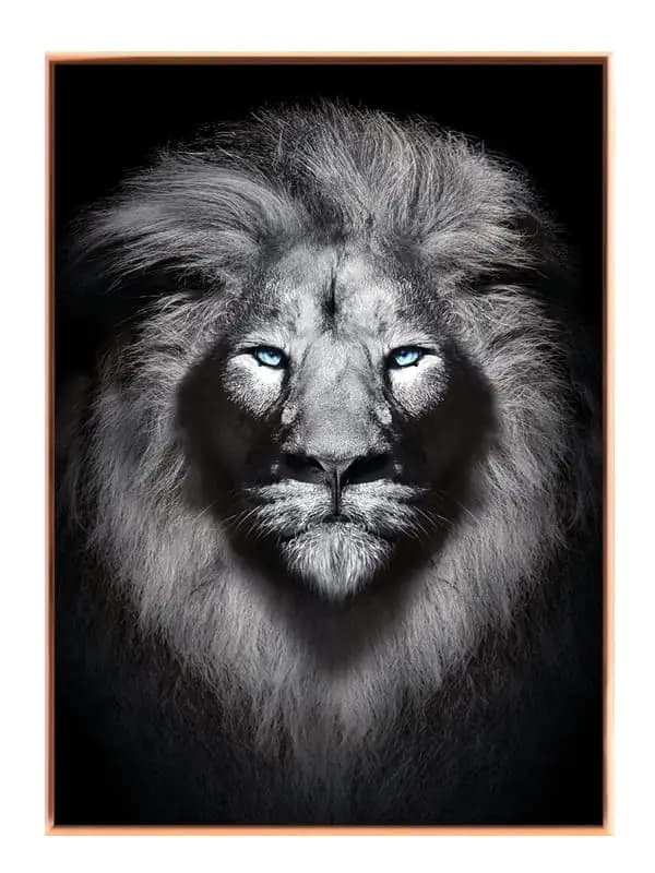 White Lion No2 Plakat