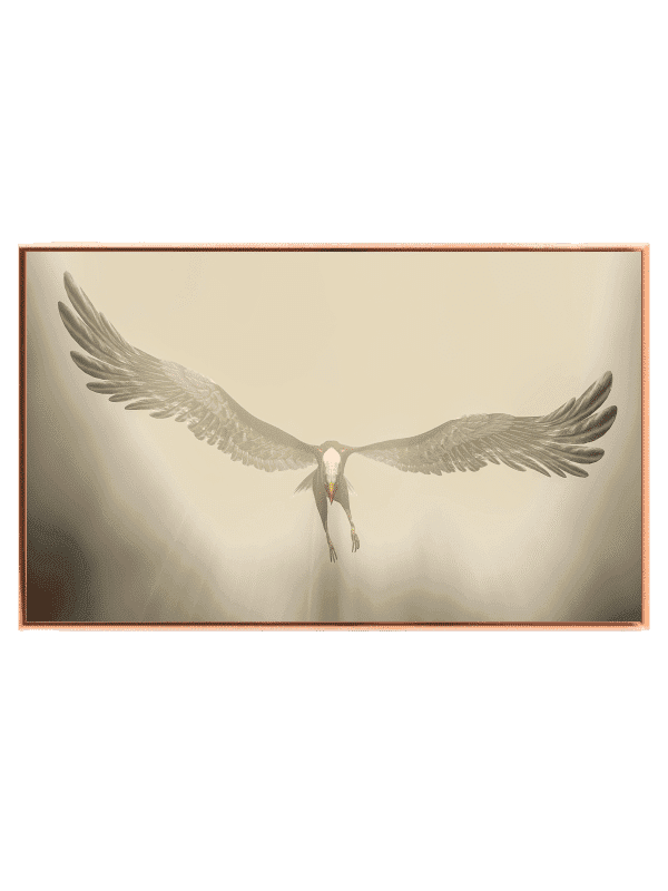 Fugl Flying Crane Plakat