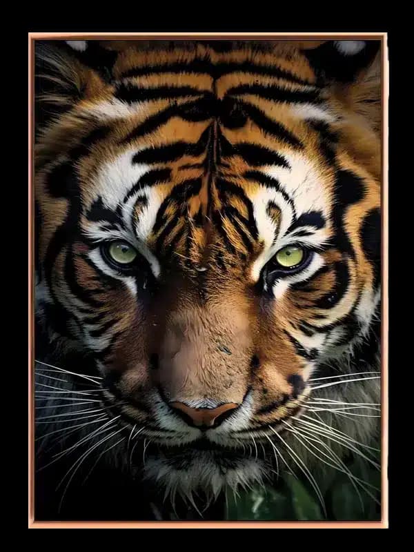 Bengal Tiger Face Plakat