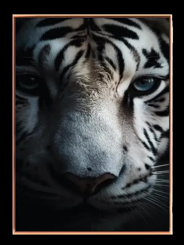 White Tiger No6 Plakat